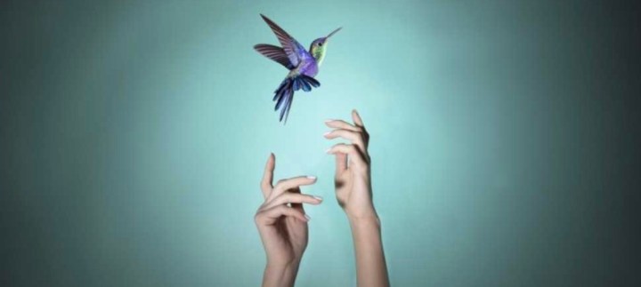 Providing the right environment and challenge for academically advanced learners means making an investment in the prosperity of&nbsp;humankind.