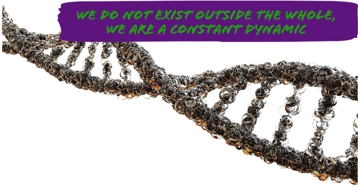 Trying to measure learning is absurd because there is no dualism between the student and the&nbsp;world