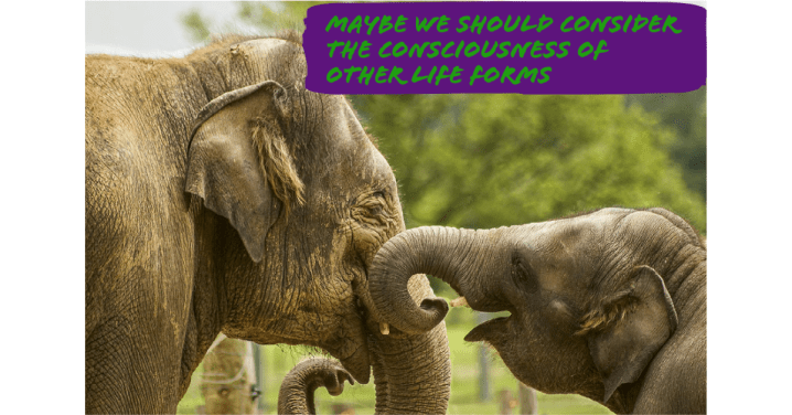 Bio Scale (A Response to Jason&nbsp;Preater)