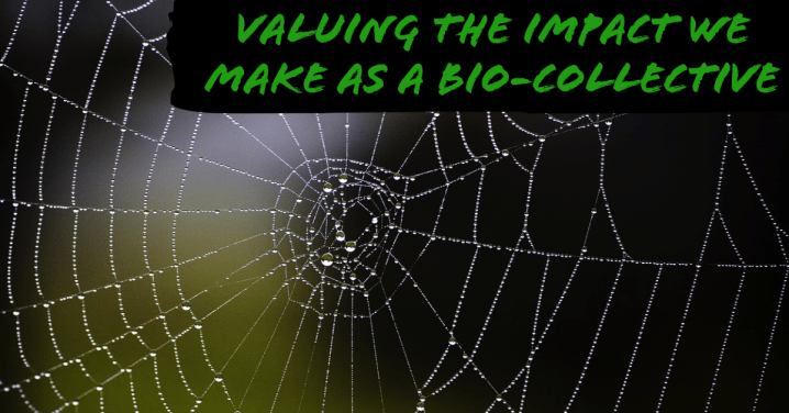 Embracing the Interconnectedness of&nbsp;Learning