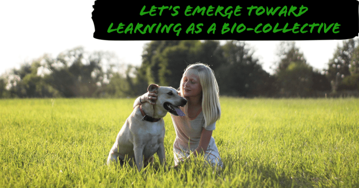 Interconnected Learning: A Contextual&nbsp;Experience