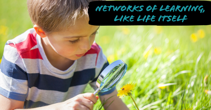 Chapter 3: Decentralized Networks of Learning as&nbsp;Biomimicry