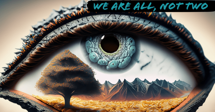 What might regenerative practice look like in&nbsp;education?