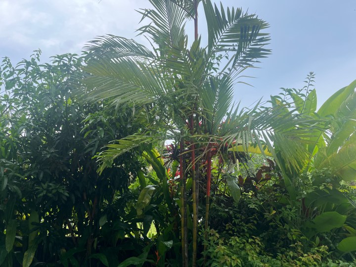 From Post-Truth to&nbsp;Post-Trust