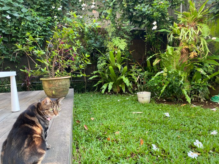 Regenerative Education: Quality Emerges Through Community&nbsp;Voices