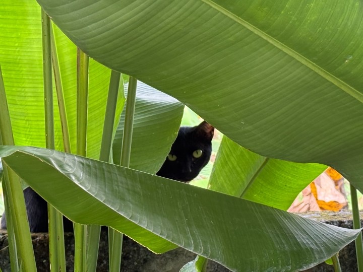 Regenerative Education: Learning&Doing in service of&nbsp;Life