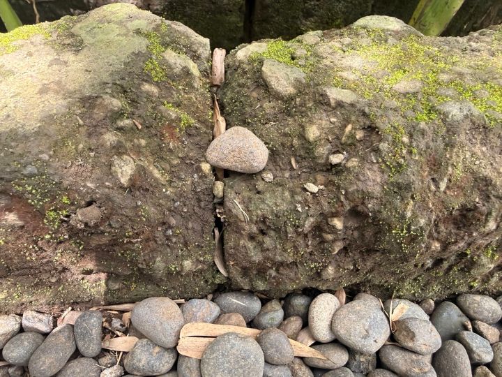 There’s a difference between reform and experiments in&nbsp;schools.